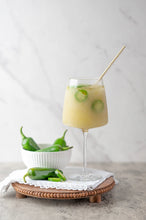 Load image into Gallery viewer, D’Marie Spicy Sauvignon Slush Drink Mix