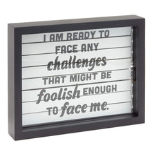 Load image into Gallery viewer, Hallmark The Office Dwight Schrute Behind Blinds Wall Decor