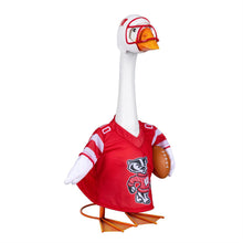 Load image into Gallery viewer, University of Wisconsin-Madison Sports Porch Goose Uniform