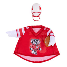 Load image into Gallery viewer, University of Wisconsin-Madison Sports Porch Goose Uniform