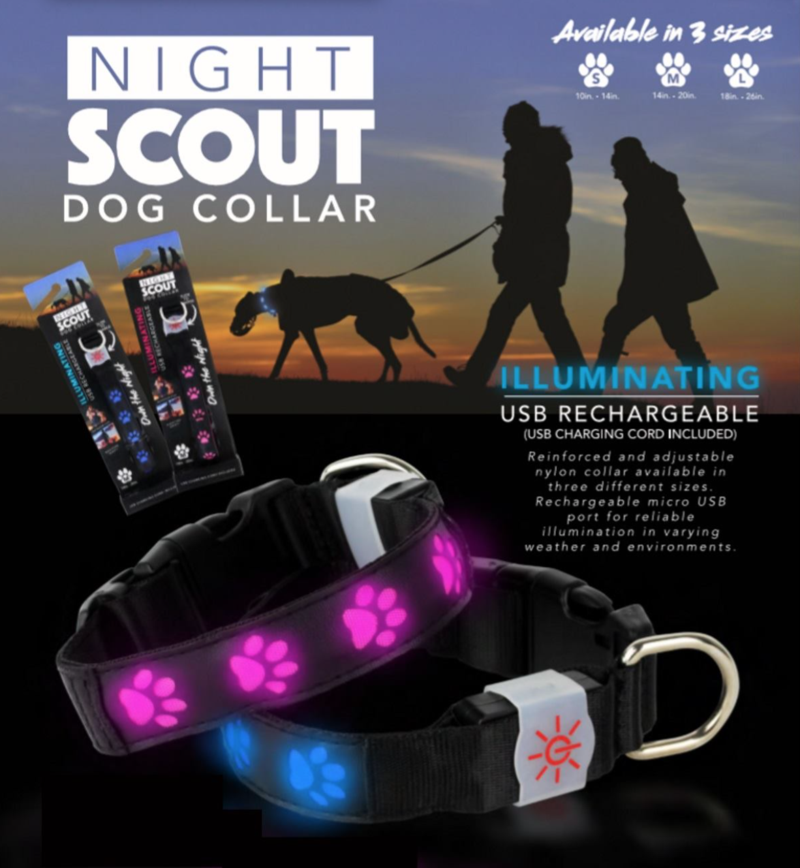 Night Scout Rechargeable LED Dog Collar Blue