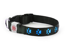 Load image into Gallery viewer, Night Scout Rechargeable LED Dog Collar - Blue