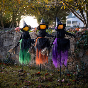 Evergreen Lighted Halloween Witches on Brooms Stakes, Set of 3