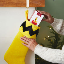 Load image into Gallery viewer, Hallmark The Peanuts® Gang Charlie Brown Stocking
