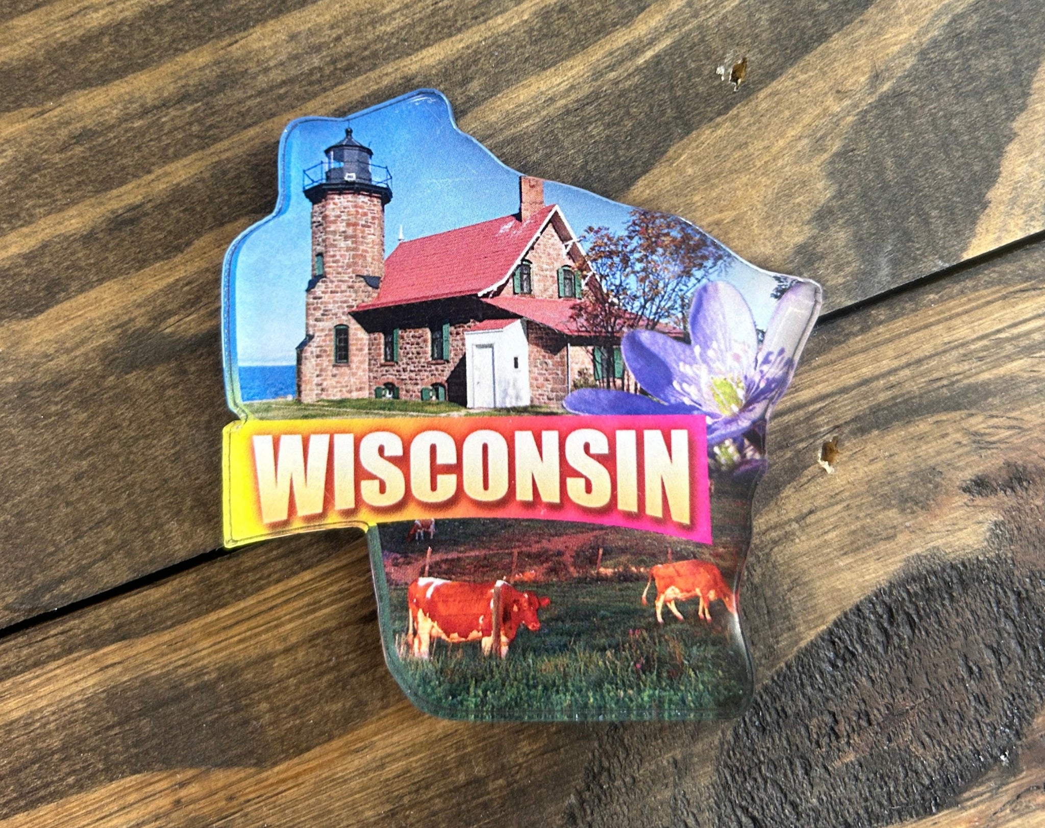 Wisconsin Magnet - Icons – Winkie's Hallmark and Gifts