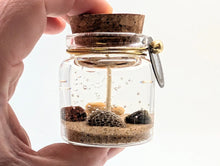 Load image into Gallery viewer, Devonian Coast Lake Michigan Charlevoix Stone Beach Gel Candle
