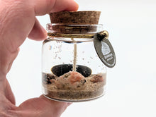 Load image into Gallery viewer, Devonian Coast Lake Michigan Beach Gel Candle
