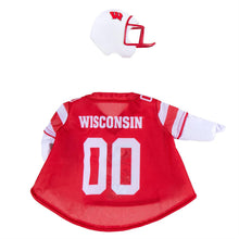 Load image into Gallery viewer, University of Wisconsin-Madison Sports Porch Goose Uniform
