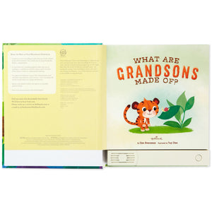 Hallmark What Grandsons are Made of? Recordable Storybook