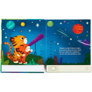 Hallmark What Grandsons are Made of? Recordable Storybook