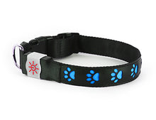 Load image into Gallery viewer, Night Scout Rechargeable LED Dog Collar - Blue
